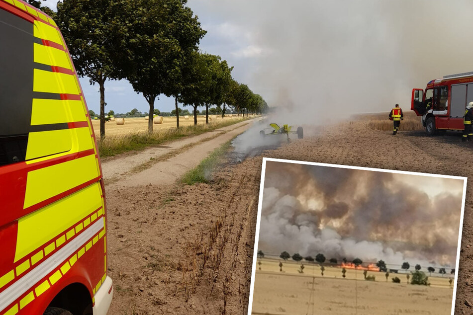 Riesige Rauchwolke in Nordsachsen: Hier stehen 12 Hektar Feld in Flammen