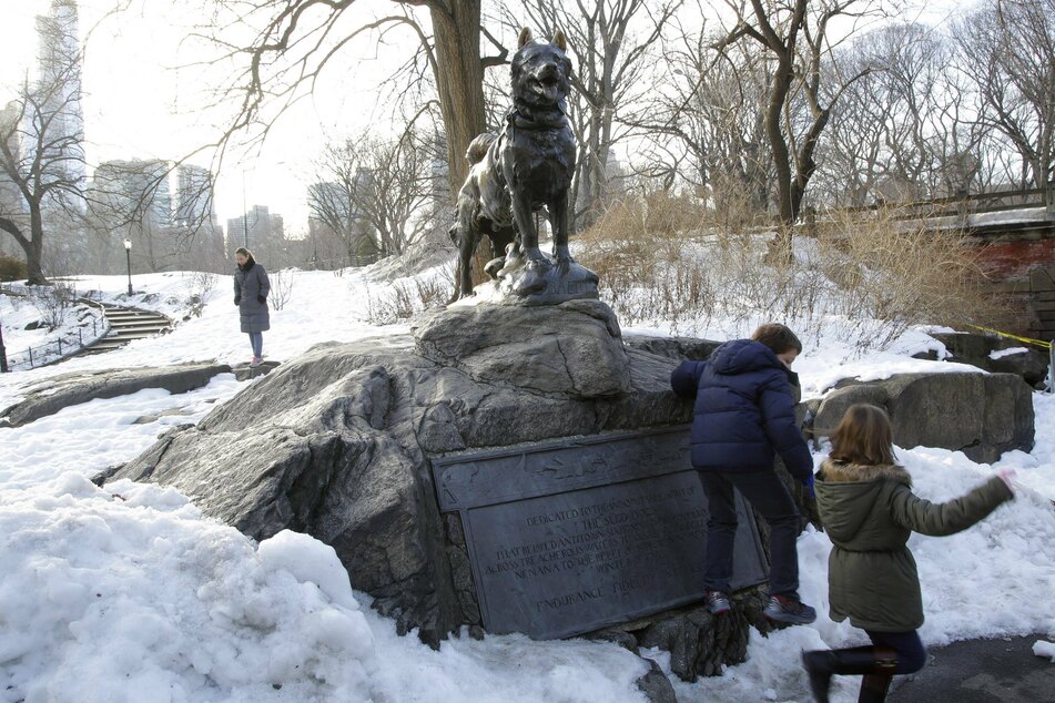 A bronze statue of Balto the dog stands in his memory in New York's Central Park (archive image).