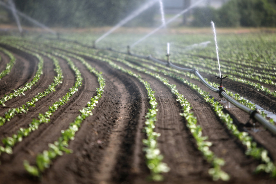 Zur Sicherung der Trinkwasserversorgung und zum Schutz gegen Dürren auch in der Landwirtschaft muss der Freistaat Bayern seine Wasserstrategie neu an den Klimawandel anpassen. (Symbolbild)