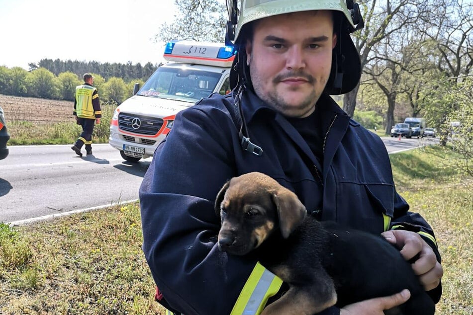 Ein Hund wurde ebenfalls gerettet.