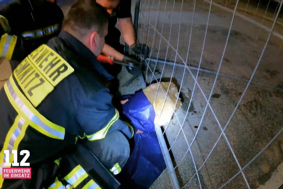 Behutsam schnitten die Einsatzkräfte das Tier aus dem Bauzaun. Wenig später hüpfte es wieder in die Freiheit.