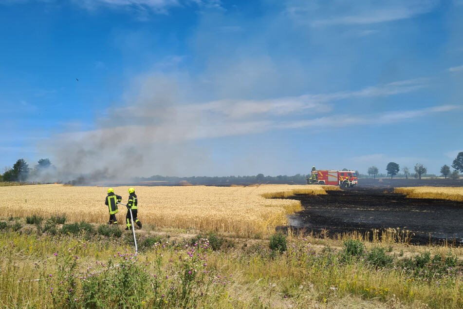 Mehrere Hektar Nutzfläche sind bei dem Brand zerstört worden.
