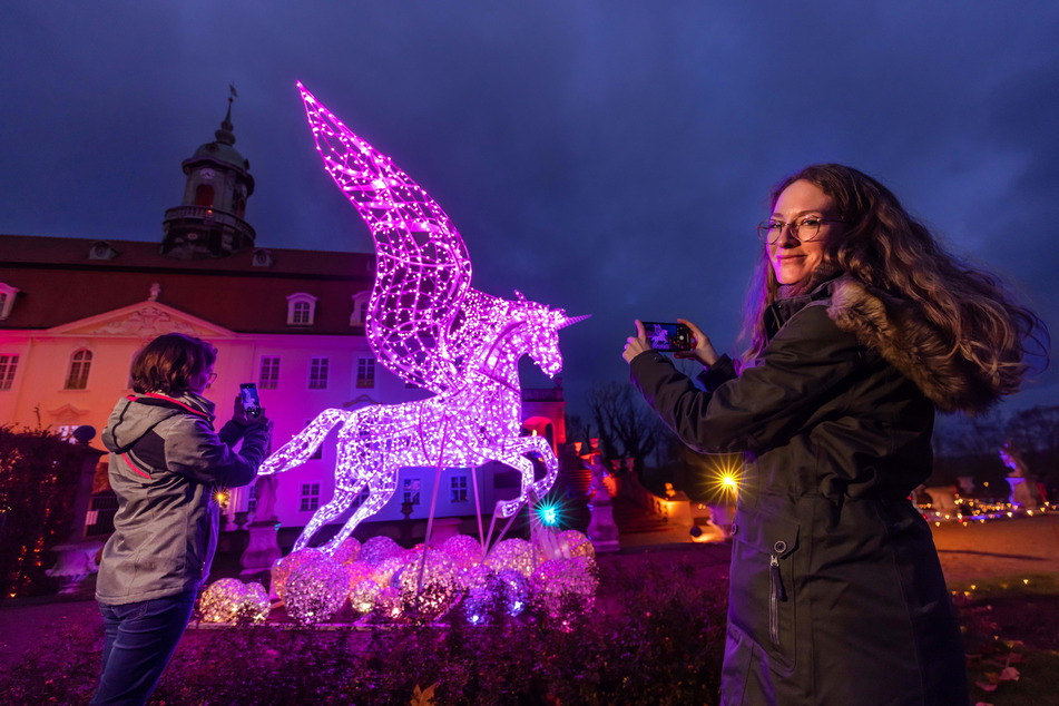 Die Lichtfiguren von Lumagica werden erst 2025 wieder im Schlosspark von Lichtenwalde zu bewundern sein.
