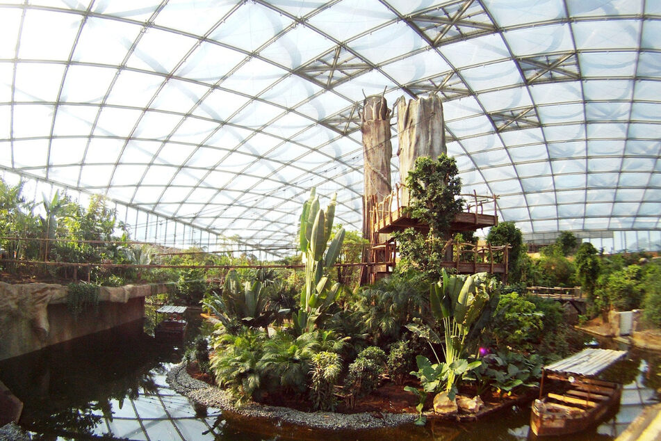 Heute versteckt sich unter der Glaskuppel im Leipziger Zentrum ein Paradies mit zahlreichen exotischen Tieren und außergewöhnlichen Pflanzen.