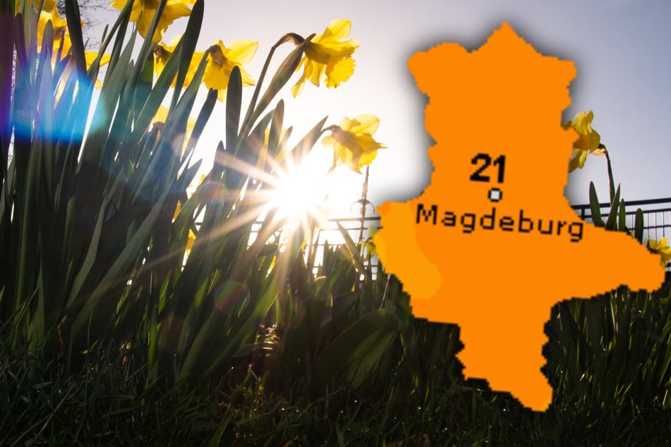 Der Frühling dreht in Sachsen-Anhalt auf und sorgt für Werte über 20 Grad. (Symbolbild)