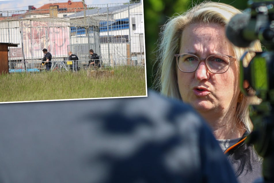 Leipzig: Tigerangriff im Norden Sachsens: Augenzeugin schildert dramatische Momente
