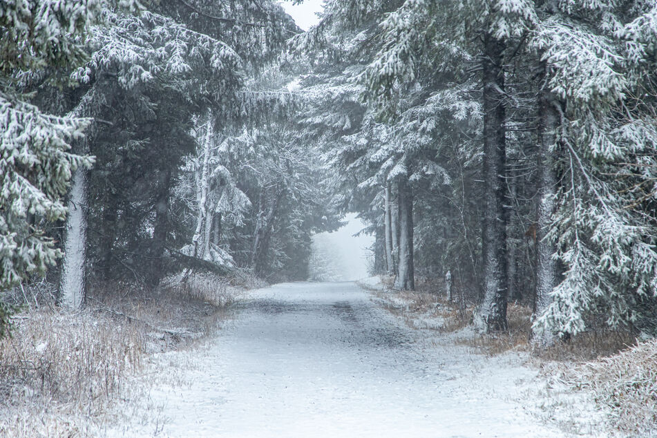 Eine feine Schicht Schnee liegt auf den Straßen und Bäumen in Oberwiesenthal.