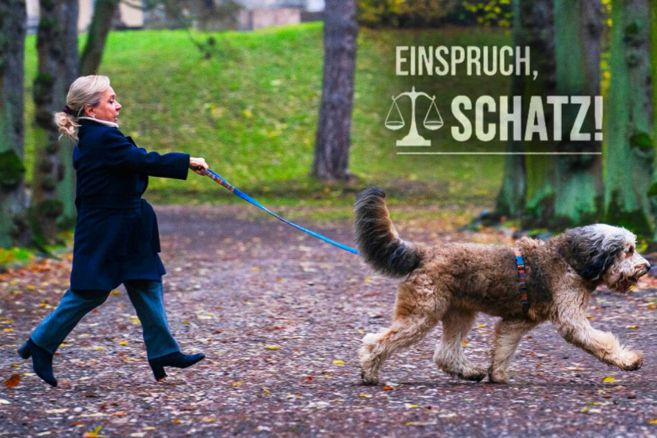ARD-Film in Leipzig: "Riesiger" Hund zieht kleinwüchsige ChrisTine Urspruch über Friedhof