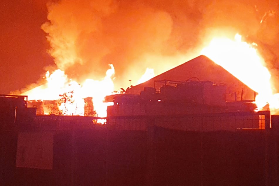 Eine Lagerhalle in Grünstadt in Rheinland-Pfalz brannte am Mittwochabend lichterloh.