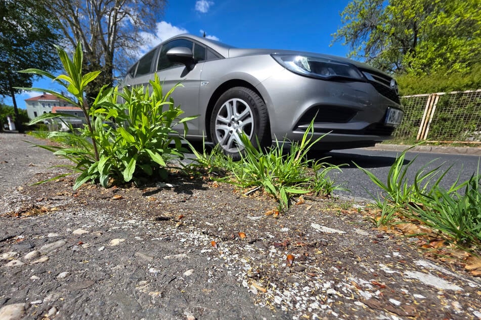 Sechs Wochen nach Bekanntwerden des Asbest-Alarms wächst langsam Gras über die giftigen Bruchstücke am Wegrand.