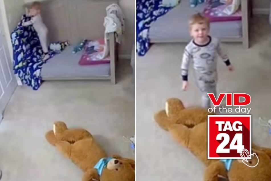 viral videos: Viral Video of the Day for August 12, 2025: Toddler thinks dad's voice on baby monitor is a stranger!