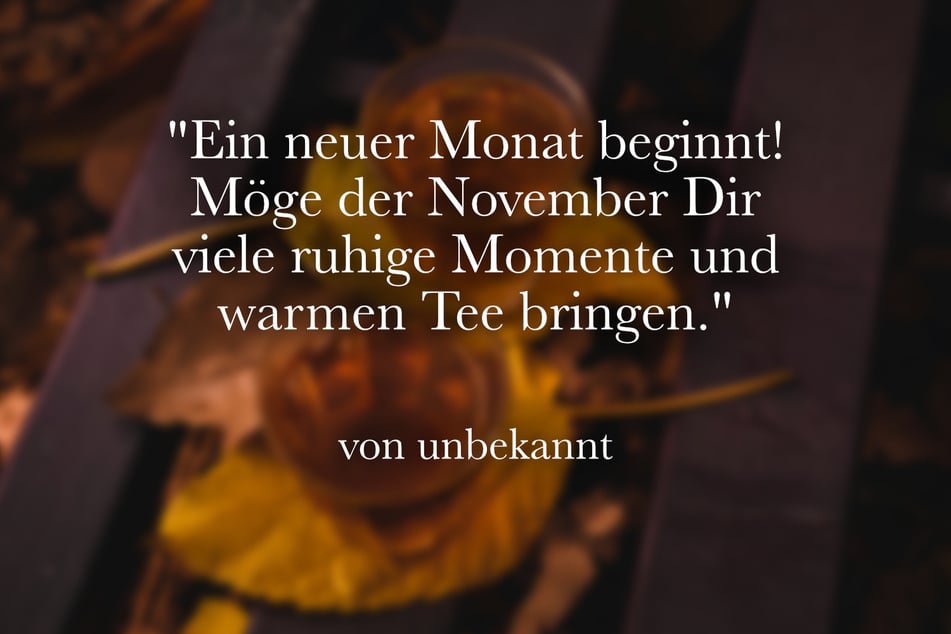 "Ein neuer Monat beginnt! Möge der November Dir viele ruhige Momente und warmen Tee bringen."