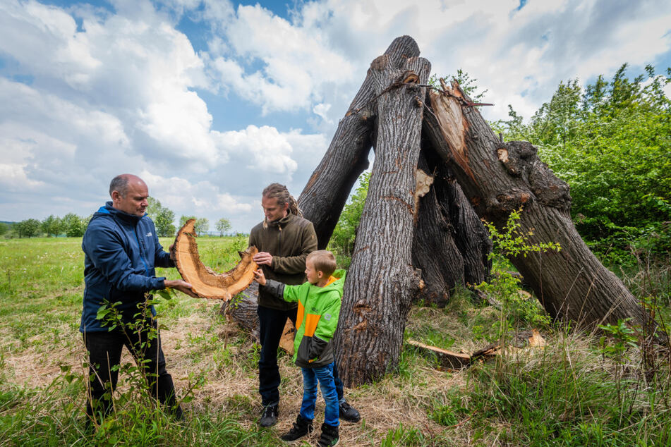 Jens Börner (56, l.) und Christian Winkler (35) von der Naturschutzbehörde sowie Charlie (7) von der AG Naturentdecker an der Totholz-Pyramide in Ebersdorf.