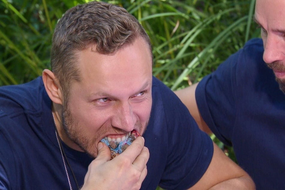 Ihre zusätzliche Mahlzeit genießen die beiden sichtlich.