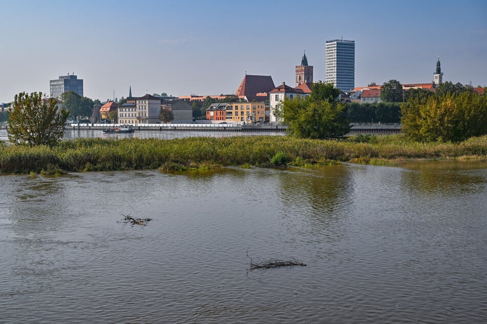 An der deutsch-polnischen Grenze schwillt die Oder an, weshalb die Stadt Slubice den Transitverkehr beschränkte.