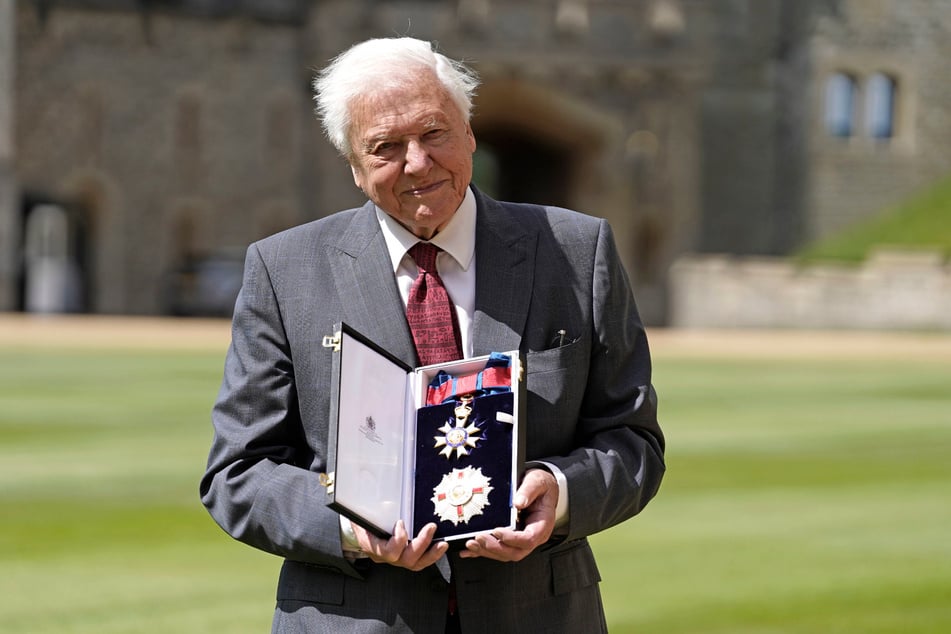 Sir David Attenborough (99) wurde durch seine Naturdokus bekannt, die er im Auftrag der BBC produzierte.