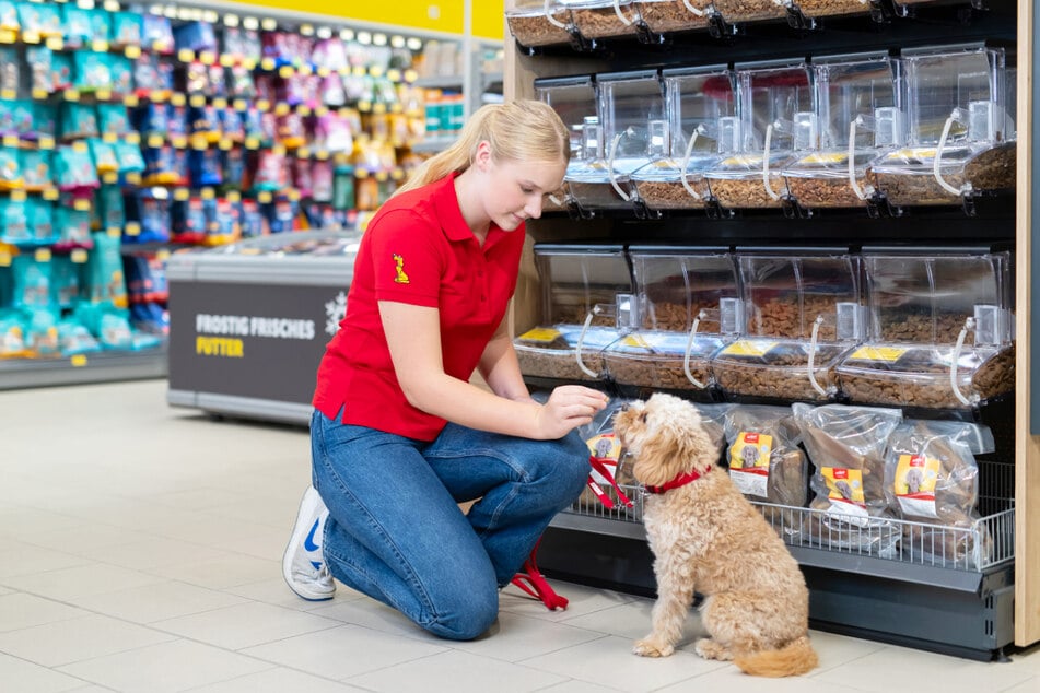 DAS FUTTERHAUS senkt ab Samstag (22.11.) die Preise auf Futter, Spielzeug und kuschelige Schlafplätze – online und in allen Märkten.