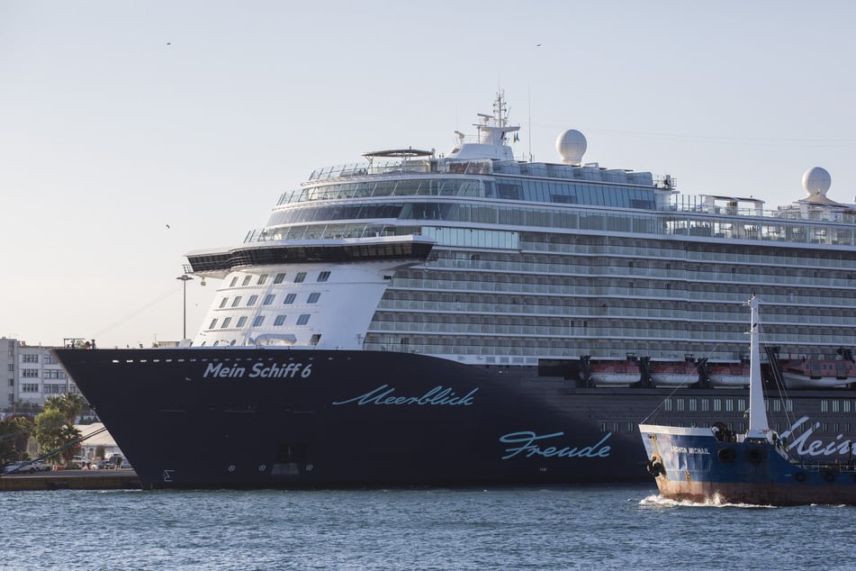 Unzählige Insekten belagerten das "Mein Schiff 6" vor dem Ablegen in Portugal. (Symbolfoto)