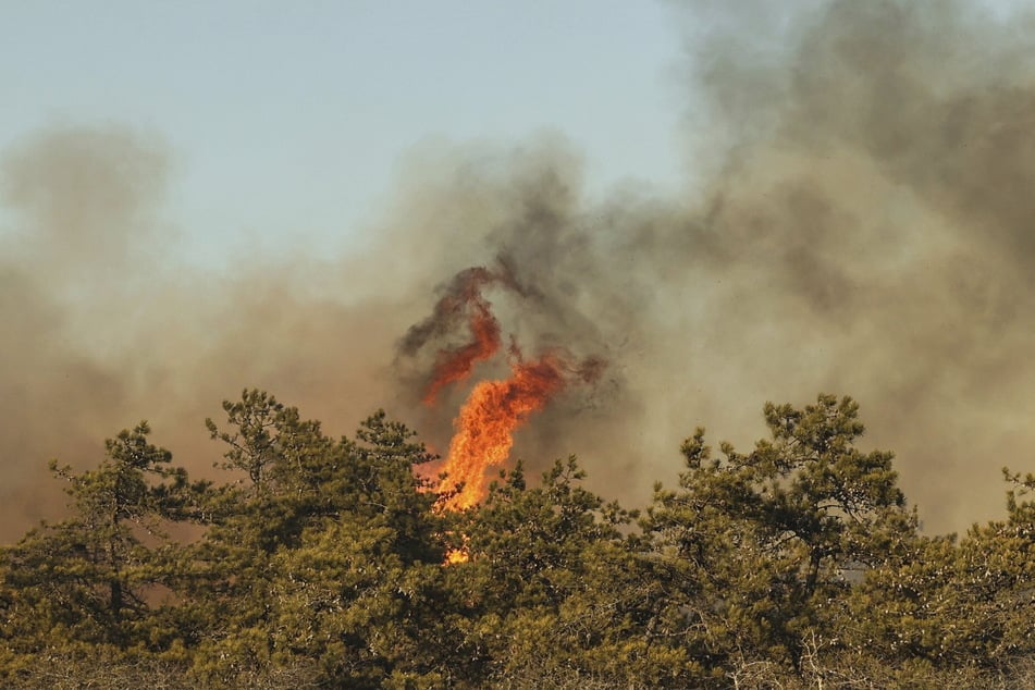 Four forest fires have broken out in New York.