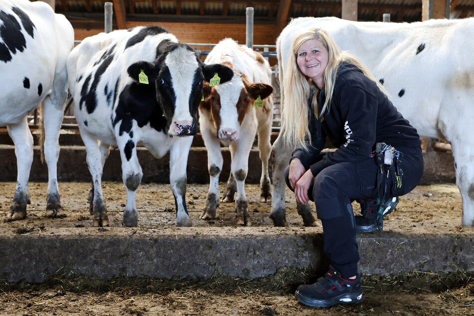In freudiger Erwartung: Conny Böttger (50) mit den Zwillingsrindern Amadeus und Colorado vor der Abfahrt in Börnchen.