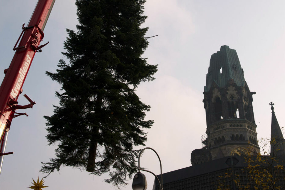 Ein Weihnachtsbaum wird in der Nähe der Gedächtniskirche auf dem Breitscheidplatz aufgestellt. Falschparker haben die für Mittwoch geplante Aufstellung des traditionellen Weihnachtsbaumes verhindert. (Archivfoto)
