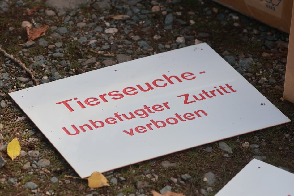 Um einen Betrieb im Kreis Mühldorf wurde eine Schutzzone eingerichtet. (Symbolfoto)