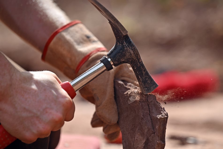 Derzeit entwickelt das Projektteam eine Strategie, wie die Grabungen und Forschungen rund um den Bromacker auch künftig dauerhaft aufrechterhalten werden könnten, hieß es. (Archivbild)