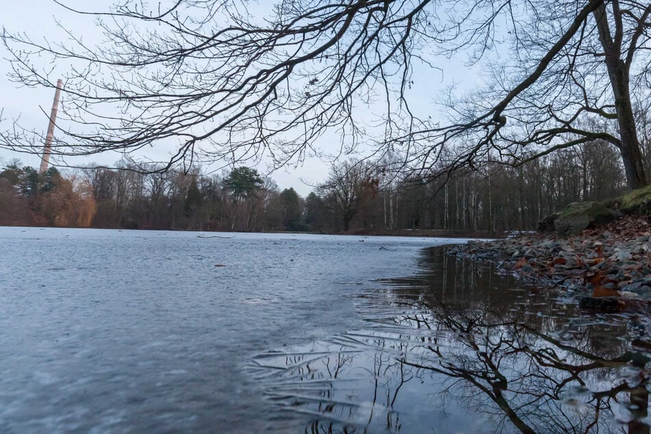 Die schreckliche Tat soll sich im nördlichen Bereich des Stadtparkteichs ereignet haben. (Archivfoto)