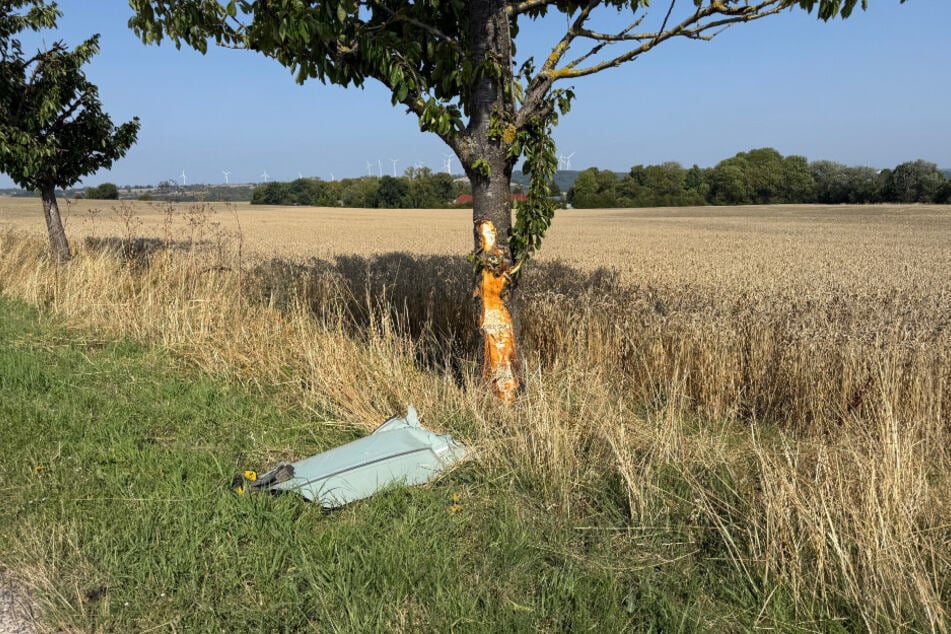 Der Fiat krachte mit der Beifahrerseite gegen einen Baum.