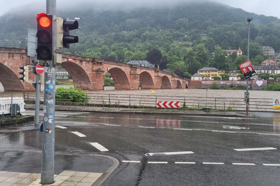 Anwohnern wird geraten, die Uferbereiche des Neckars zu meiden.