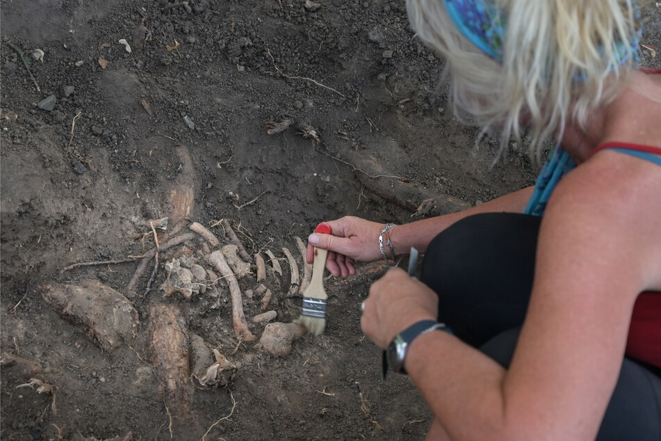 Im Harz wurde Spuren von alten Richtstätten gefunden und ausgegraben.