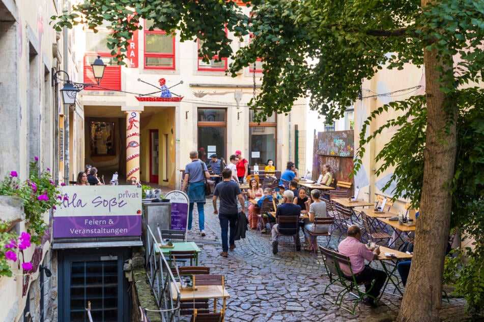 Dresden: Endlich wieder Sommer in Dresden: In diesen Biergärten lässt sich das gute Wetter genießen