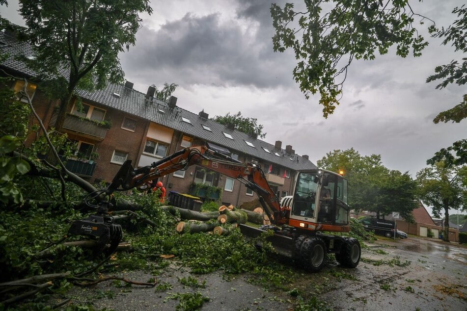 In Bocholt stürzte eine etwa 25 Meter große Buche vor einem Mehrfamilienhaus um. Ein Bagger half bei den Aufräumarbeiten.