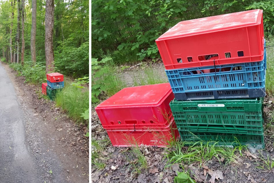 Auf dem Zufahrtsweg zum Tierheim Freital waren die Tiere in Kunststoffkisten abgelegt worden.
