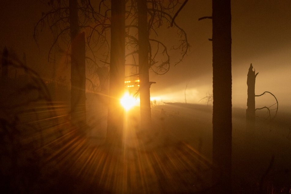 A firefighter vehicle drives through an incinerated forest at night as Yosemite National Park burns.