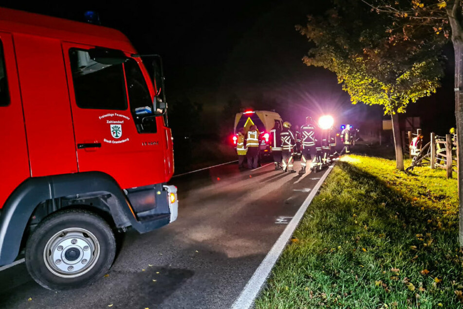 Einsatzkräfte stehen vor der Pferdekoppel an der L21 zwischen Wensickendorf und Zehlendorf.