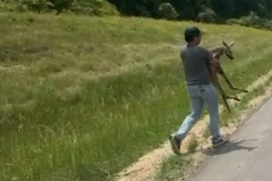 Utečený klokan spôsobil nehodu a uzavretie cesty