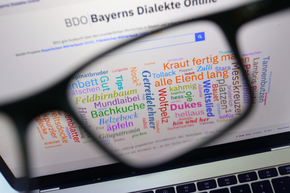 Die Homepage der Internet-Datenbank "Bayerns Dialekte Online" der Bayerische Akademie der Wissenschaften wächst stetig weiter.