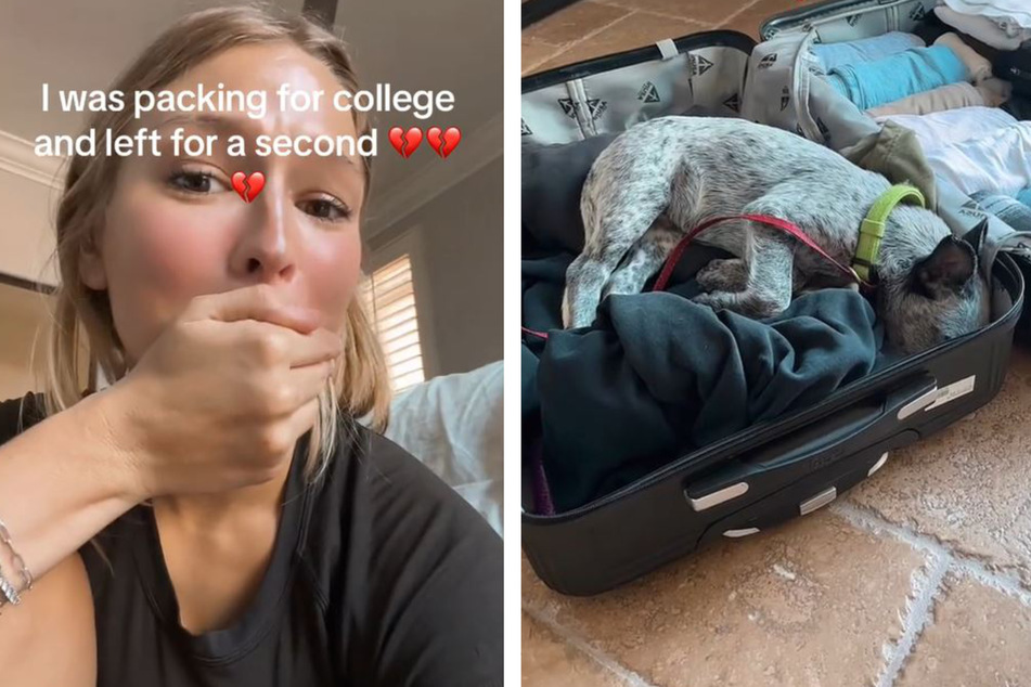 Chloe can't believe her puppy wants to come with her to college.