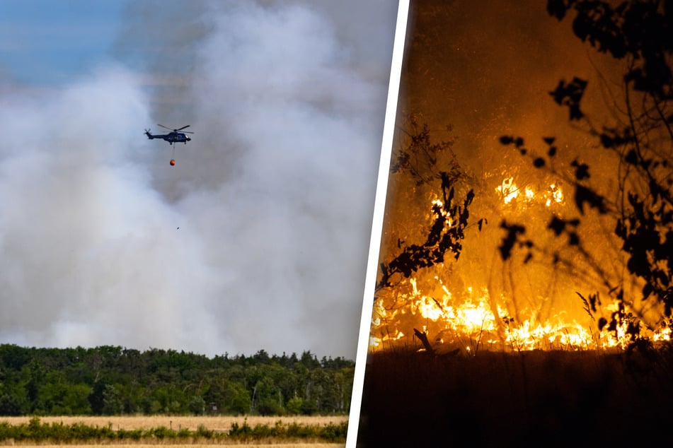 Tagelang kämpften Feuerwehr, THW, Bundeswehr und Polizei Anfang Juli gegen den großflächigen Waldbrand in der Gohrischheide an der Grenze zwischen Sachsen und Brandenburg.