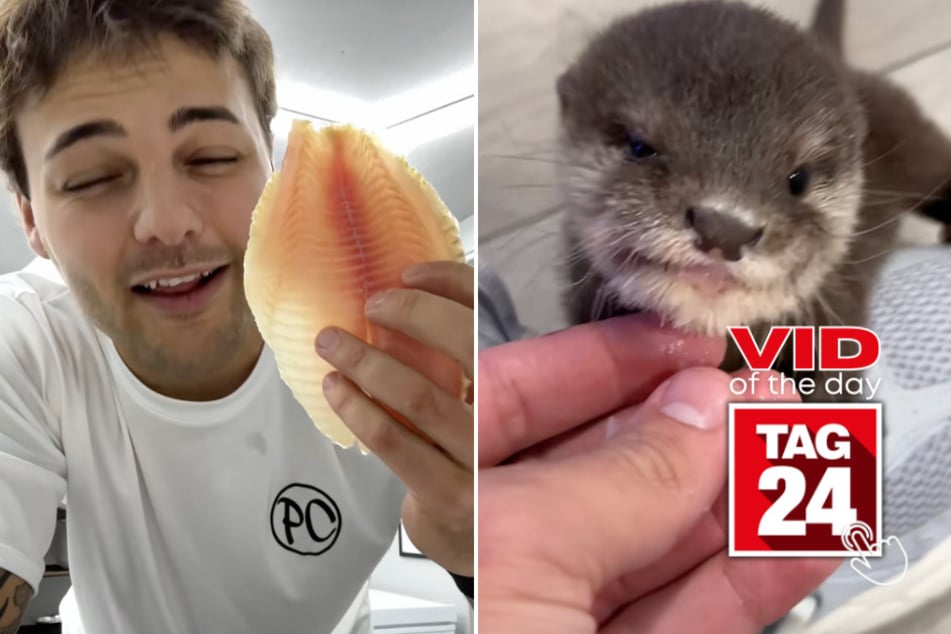 viral videos: Viral Video of the Day for December 31, 2025: Baby otter tries fish for first time in adorable TikTok!