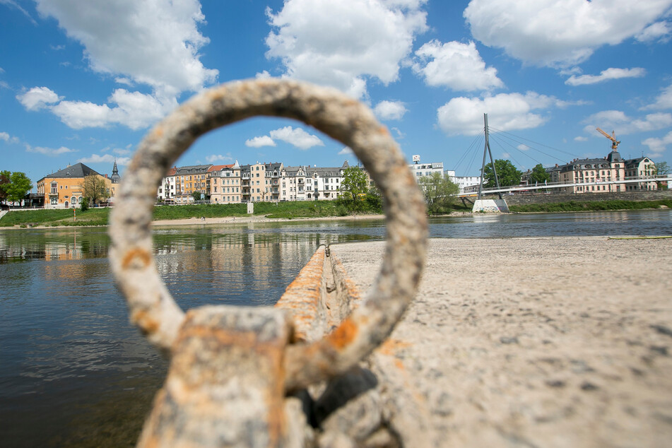 Fähre oder Brücke: Die Stadt hat untersucht, wie Pieschen und das Ostragehege besser verbunden werden können.
