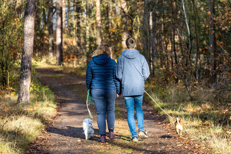 Für Nele werden Besitzer gesucht, die gerne viel Zeit im Freien verbringen. (Symbolbild)