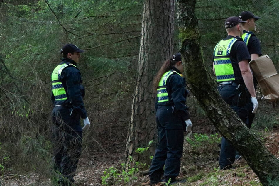 Tierquäler am Werk? Frau macht grausige Entdeckung im Wald