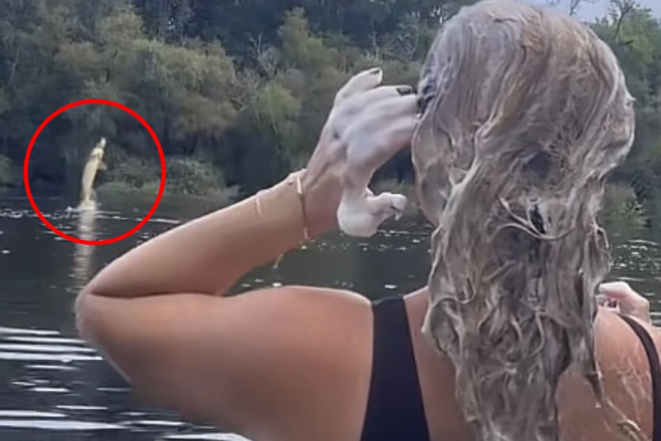 Der große Fisch springt plötzlich aus dem Wasser, taucht darin kurz darauf wieder ab.