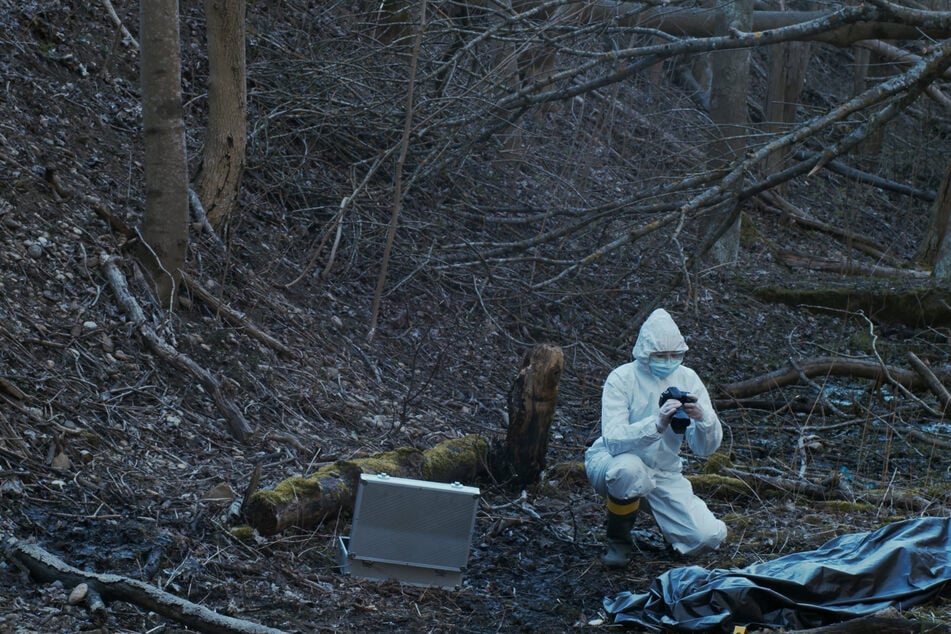 Die Körperteile der Leiche wurden von Einsatzkräften in einem Waldgebiet gefunden. (Symbolbild)