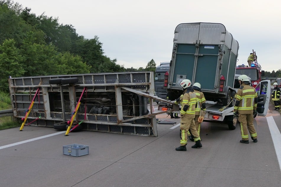 Das Fahrzeug transportiere augenscheinlich einen Pferdeanhänger und auf einem weiteren Anhänger einen Transporter.