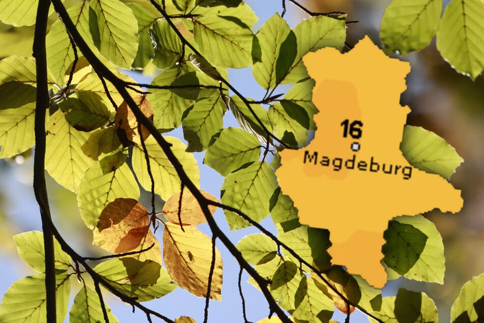 Trotz vieler Wolken bleibt es in Sachsen-Anhalt diese Woche trocken. (Symbolbild)