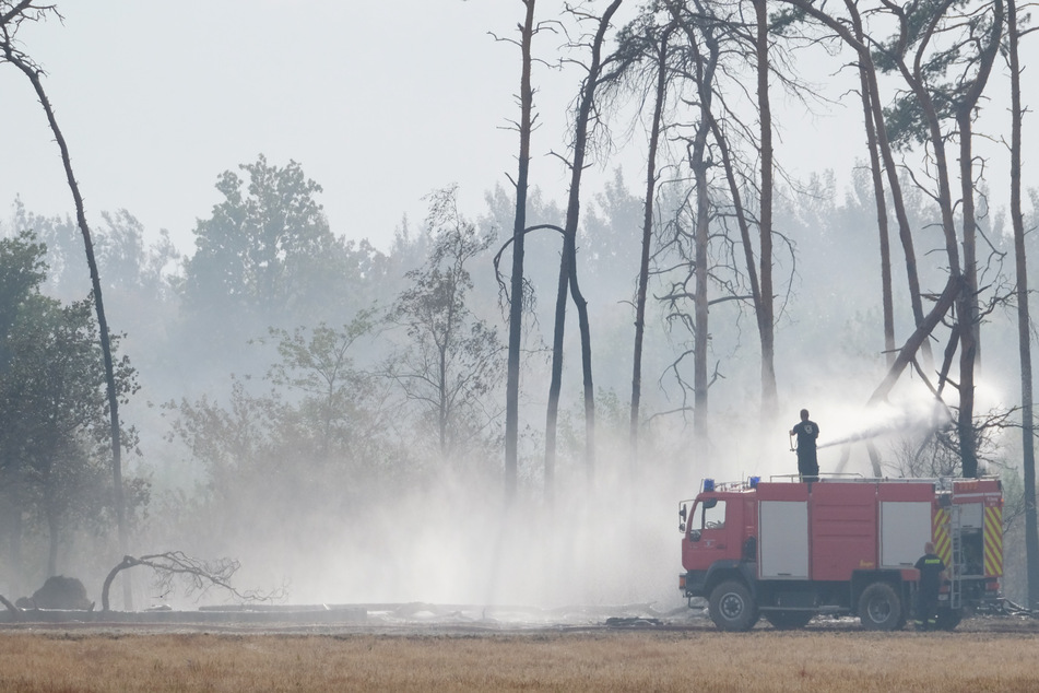 Größtes Feuer des Jahres in Brandenburg: Stabile Lage, aber Flammen toben noch!