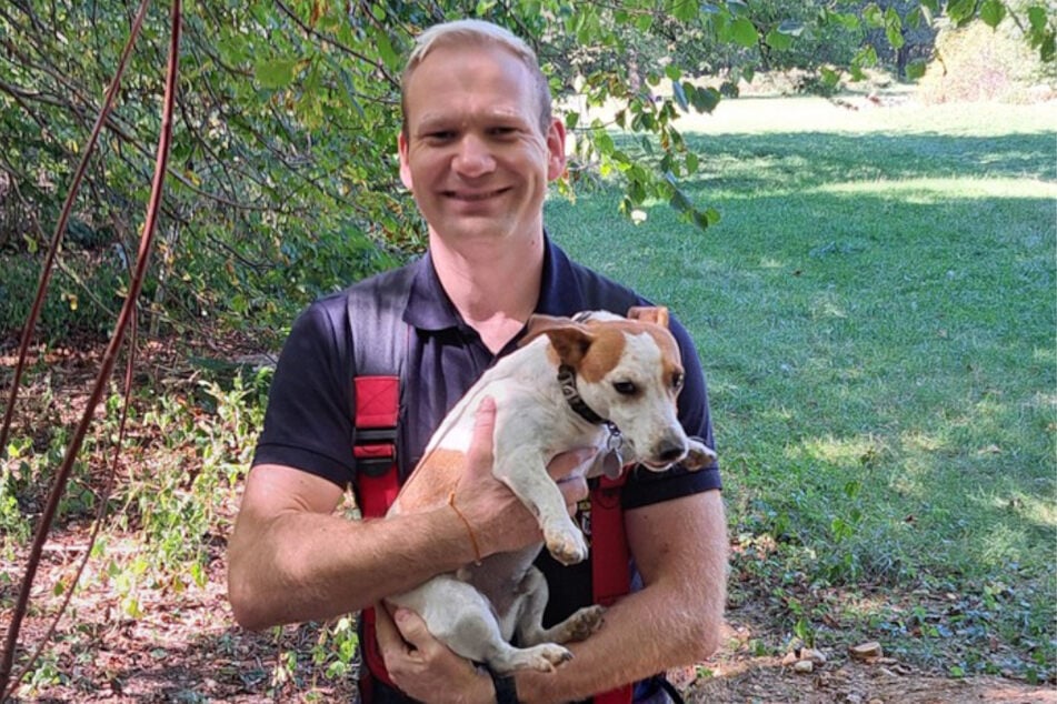 Viel Lärm um Spencer: Der kleine Terrier war sich keiner Schuld bewusst, als ein Feuerwehrmann im Dachsbau nach dem Rechten schauen musste.